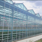 Tŷ Gwydr Gwydr Amaethyddol